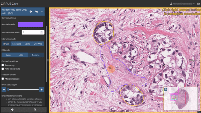 Reader Studies Image